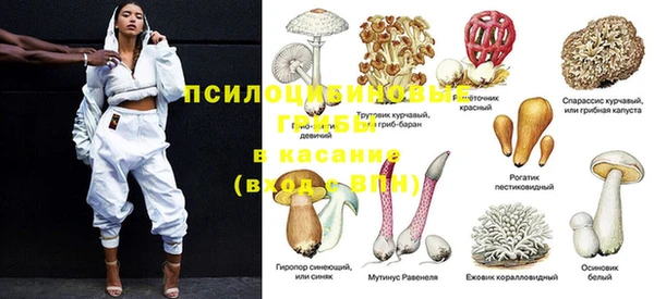 прущая мука Богородск